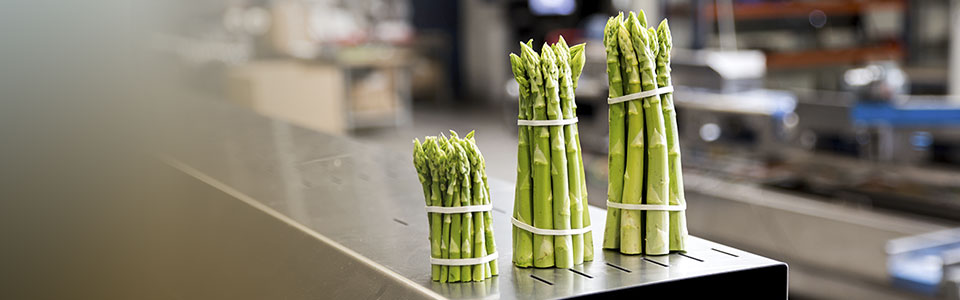 Perfect asparagus bundles
