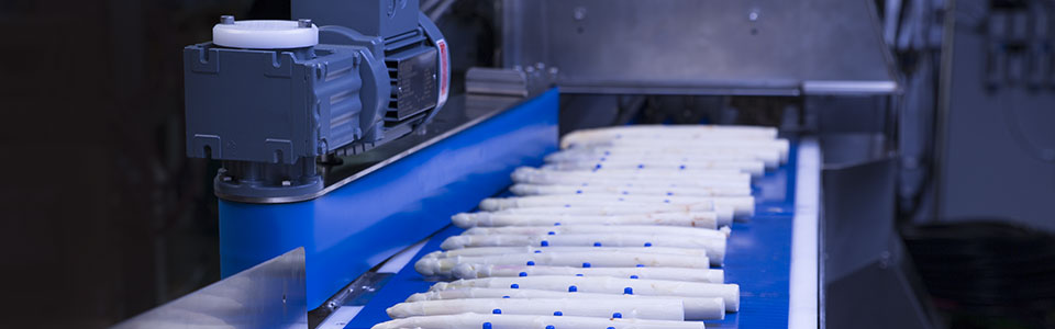The ESPASO automatic asparagus sorting machine increases productivity